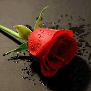 Meet your Posher, Deisy